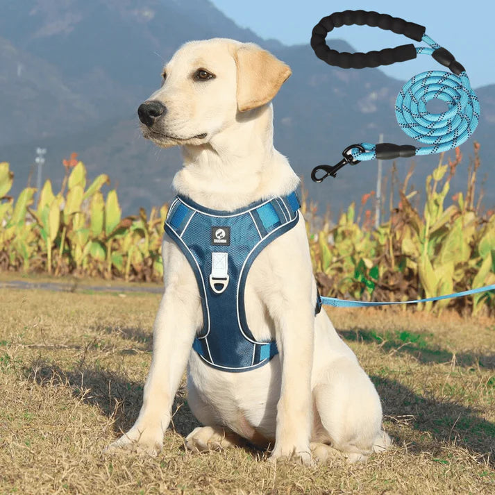 JollyWalk™ - Arnés anti tirones para perros